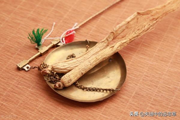 中藥也能治療糖尿病嗎?當然!送你兩味中藥,一味養陰,一味益氣 中藥也能治療糖尿病嗎?當然!送你兩味中藥,一味養陰,一味益氣