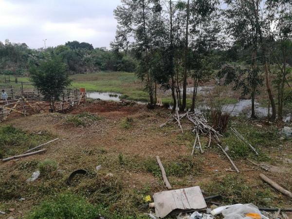 閒不住的候鳥（候鳥小菜園，提倡否？）
