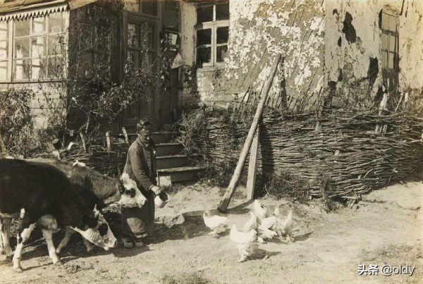 老照片系列(三)東北哈爾濱 老照片系列(三)東北哈爾濱