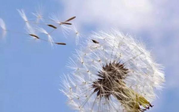 體面面對人生中的插曲 體面面對人生中的插曲