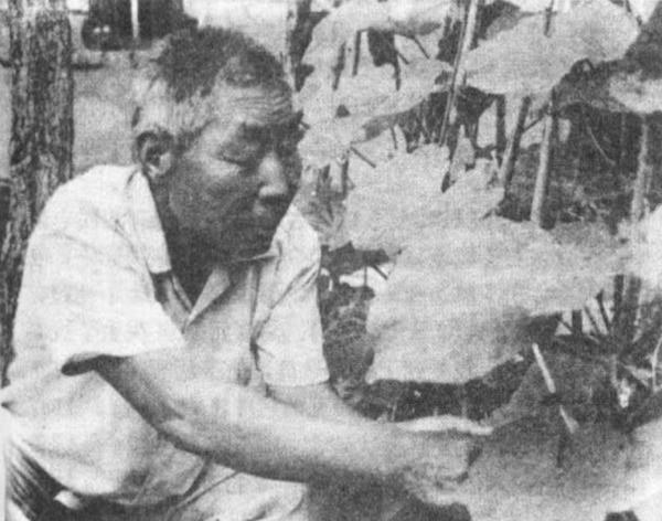 胡清河:金門戰役被俘後,胸前系兩個籃球,遊了11小時回大陸 胡清河:金門戰役被俘後,胸前系兩個籃球,遊了11小時回大陸