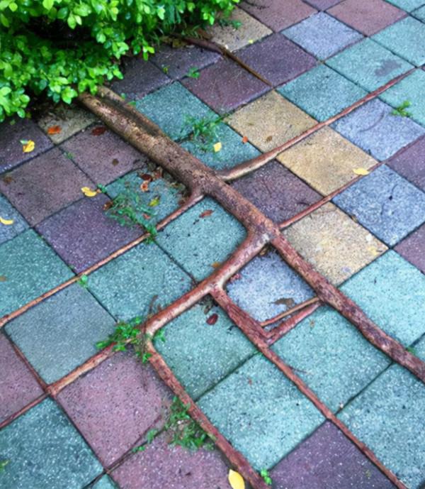 66張治癒強迫症的完美圖片，看完整個人都舒服了