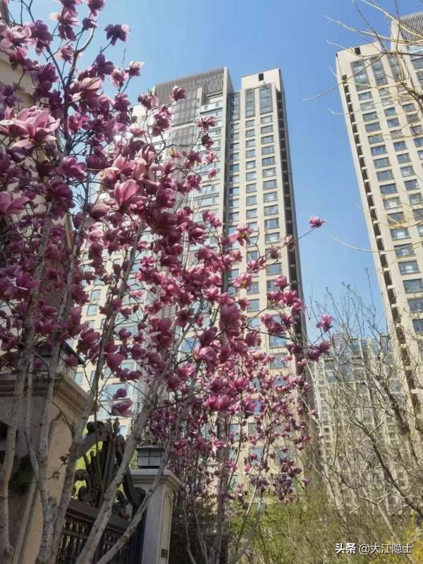 人間四月芳菲盡