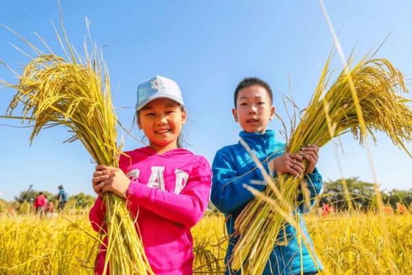 訪古探幽話順義 訪古探幽話順義