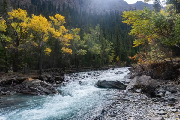 孟克德：金黃暴擊，意外心動