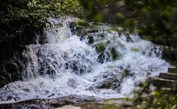 人間四月天，在坪山眼見皆美好