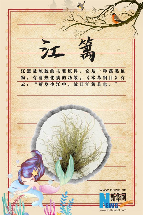 世界傳統醫藥日｜這些“秀外慧中”的中藥，你認識嗎？