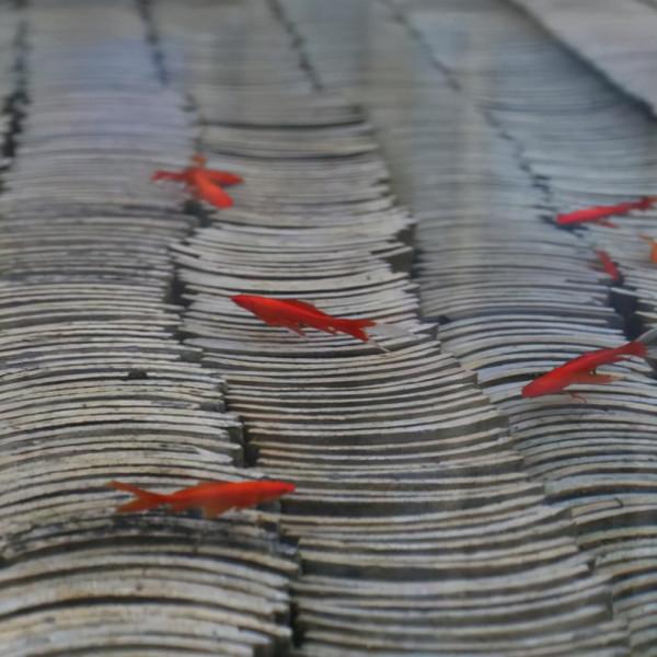 小小瓦片，美翻庭院