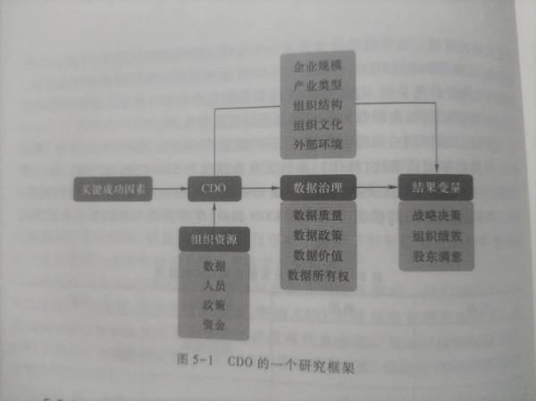 大資料領導-首席資料官