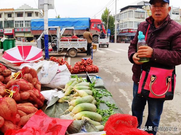 農村老人街頭賣菜30年,琢磨出做生意“捷徑”,每個行業都有竅門 農村老人街頭賣菜30年,琢磨出做生意“捷徑”,每個行業都有竅門