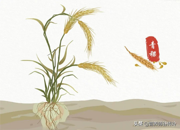 這種主食富含β-葡聚糖,鐵含量還超高,不是燕麥那是啥? 這種主食富含β-葡聚糖,鐵含量還超高,不是燕麥那是啥?