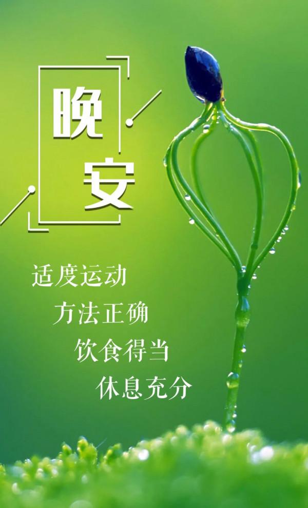 晚間悅讀 | 隔天跑?每天跑?每週慢跑多少次比較好? 晚間悅讀 | 隔天跑?每天跑?每週慢跑多少次比較好?