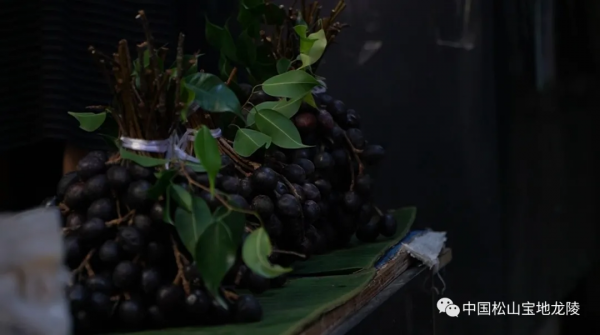 龍陵人的秋天，絕對少不了一碗酸甜可口的山李子