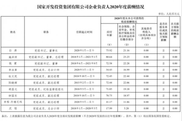 國家開發投資集團企業負責人2020年度薪酬資訊公示