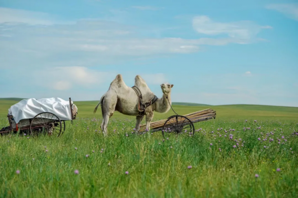 2022全年53條自駕路線上線，每一條都美哭了！你想要的，我們都有