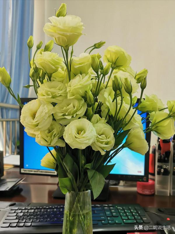 關閉朋友圈功能一個星期後，我得到了什麼？