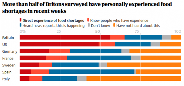 聖誕節即將到來：供應鏈危機導致歐美多國食品等物資短缺，寵物食品遭遇同樣問題
