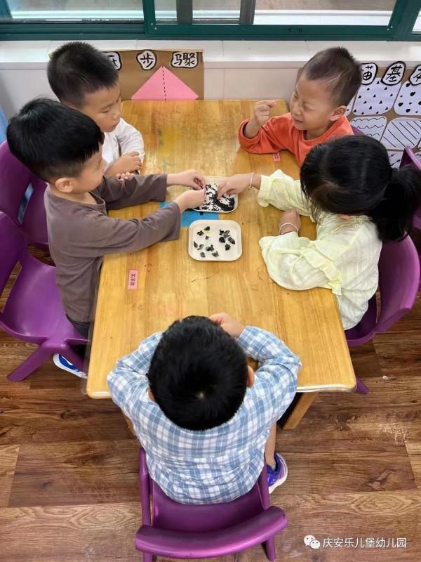 好吃的黑黑——諾亞舟慶安樂兒堡幼兒園中四班課程故事