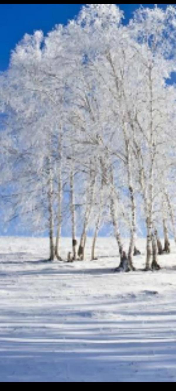 能不能想辦法到了冬天也讓北方植物充滿生機？