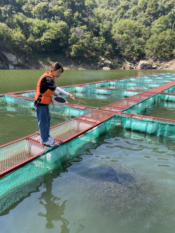 有條小魚,正從大別山“遊”向長三角…… 有條小魚,正從大別山“遊”向長三角……