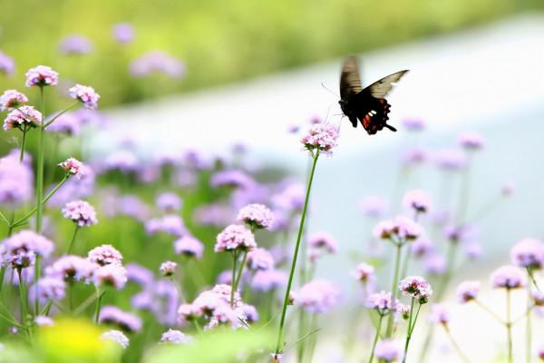 一個家庭過得幸不幸福，看看家裡的一個地方就清楚了