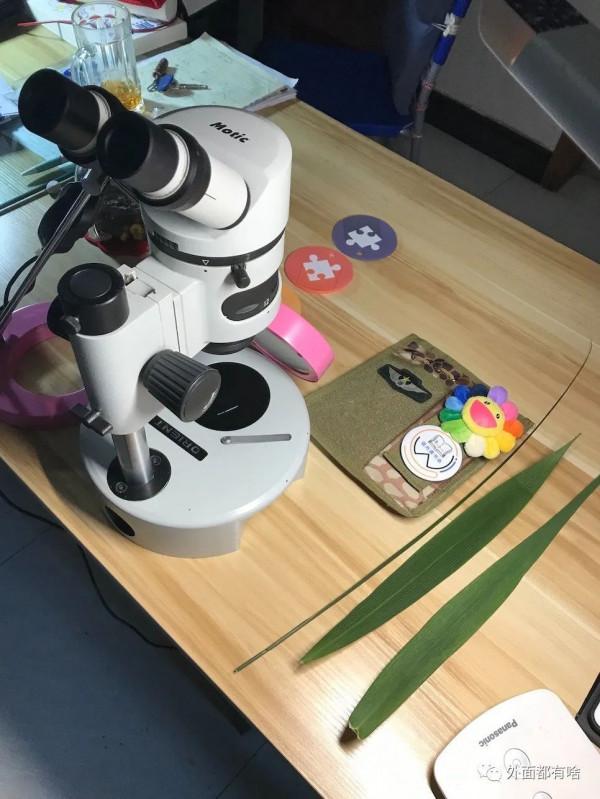 令人驚奇的葉沿——讓孩子學會使用常用工具系列