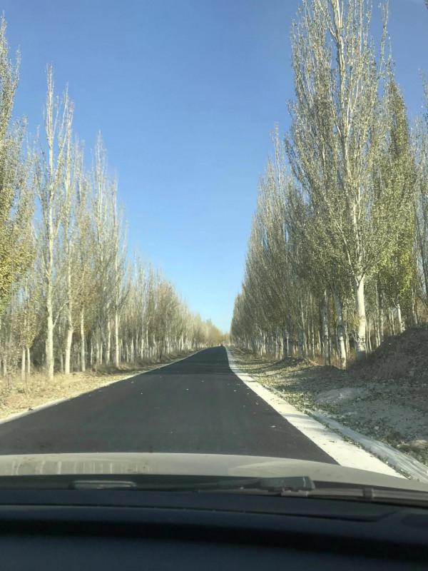 宣化紅一師老戰友遊走大明宣府青邊口，晚秋景色亦迷人