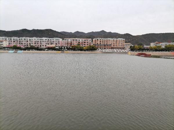 蒙古草原剿匪 蒙古草原剿匪