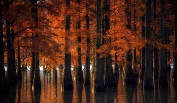 秋天旅遊，這9個景點千萬不要錯過