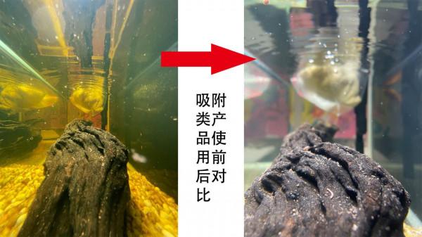 魚缸黃水的原因和處理方法，魚缸黃水的解決辦法，魚缸水發黃