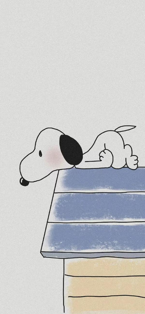 100張卡通動漫桌布：可能都是你喜歡的桌布，別錯過