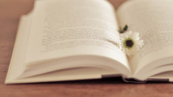 《摯友》語音版 | 用文學展示殘疾人心底的亮色——試論許福元殘疾人小說題材的藝術特色