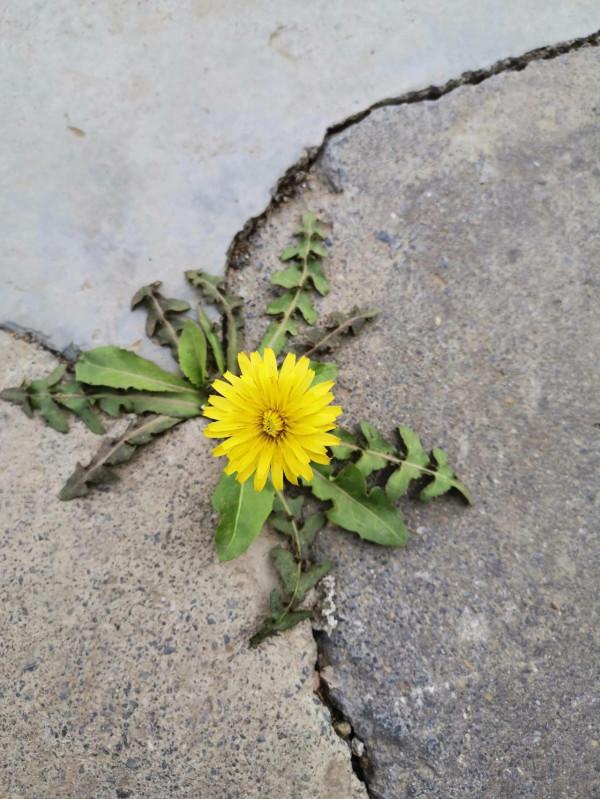 男人的夢是不是可以這樣來做？3