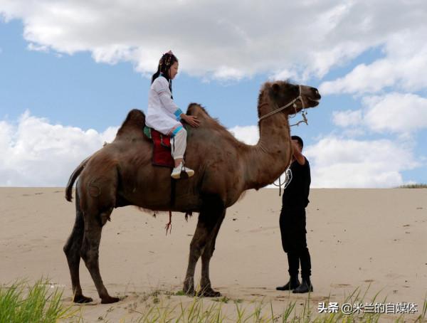 暑期自駕遊，走進內蒙汗蘇魯，不僅有草原醉美晚霞