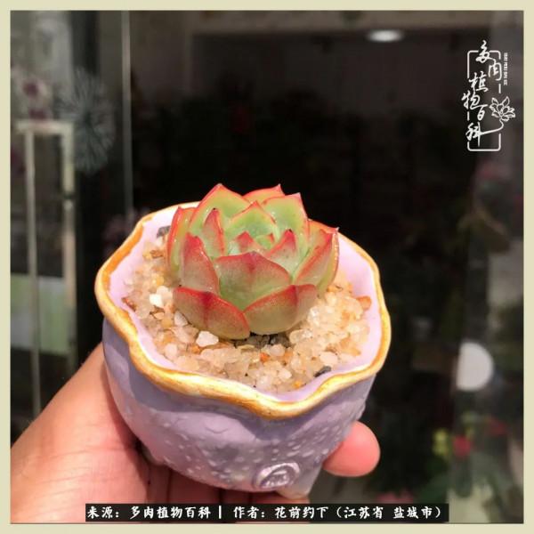 你儘管善良,福報都在路上 你儘管善良,福報都在路上