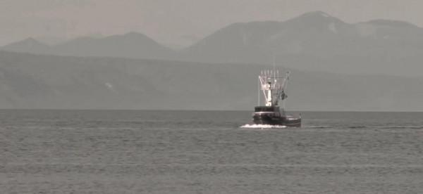 英國一家人在海船上,遭遇虎鯨圍獵,逃脫之後,主人寫下驚險自傳 英國一家人在海船上,遭遇虎鯨圍獵,逃脫之後,主人寫下驚險自傳