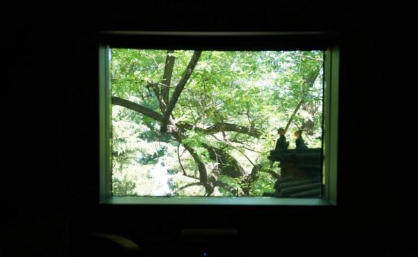 北京市井的後海衚衕裡,藏著這樣一家現代又古樸的酒店 北京市井的後海衚衕裡,藏著這樣一家現代又古樸的酒店