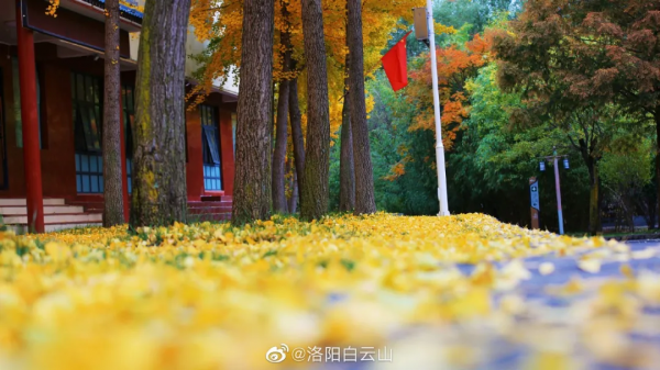 河南全省433家A級景區，免門票！中原大地的壯觀美景，絕了