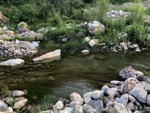 今年霜降也是倉頡千秋,“霜降祭倉頡,洛書傳古今”,啥是洛書? 今年霜降也是倉頡千秋,“霜降祭倉頡,洛書傳古今”,啥是洛書?