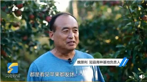 熱點 | 為找到最好吃的蘋果，科學家每天試吃上千個，還拿了國家級大獎