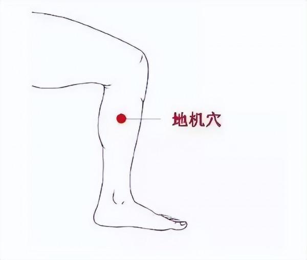 祛斑的開關——地機、血海