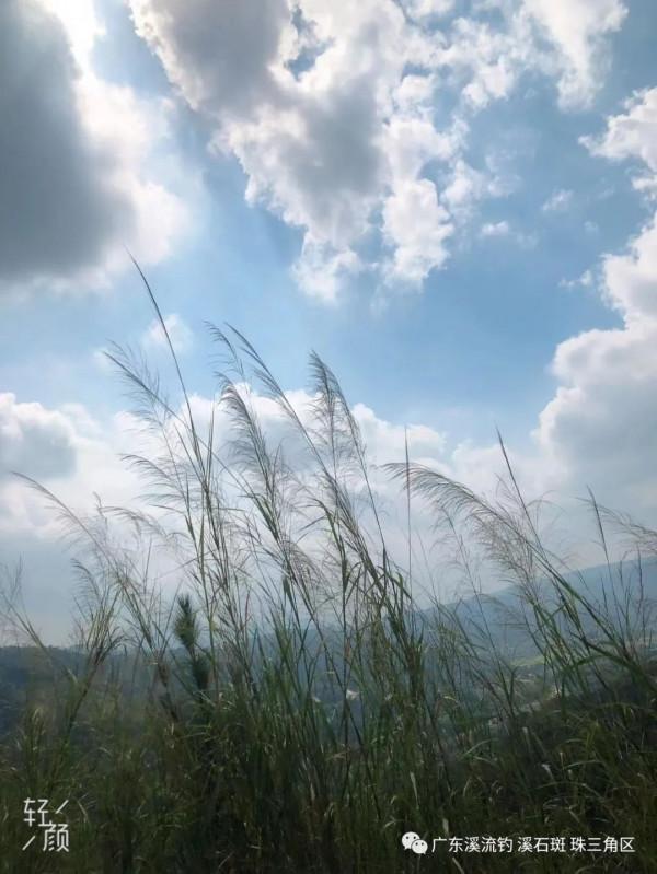 釣點 美景 魚獲——我們在路上（尋找溪釣 探釣點）