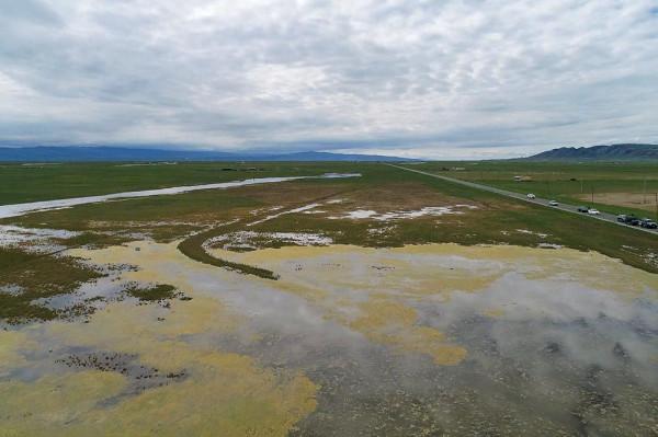 標緻4008環青海長測Day9：鳥島叫“蚊子島”，沿青海沿線達剛察！