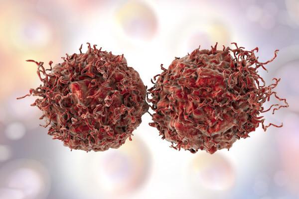 人類的極限壽命是多少歲？《自然》研究表明：人類無法逆轉衰老