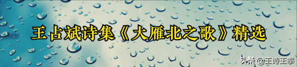 「王詩」王佔斌詩集《大雁北之歌》短詩精選