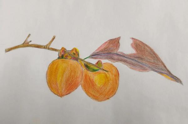 幸福，在平常日子裡生根發芽