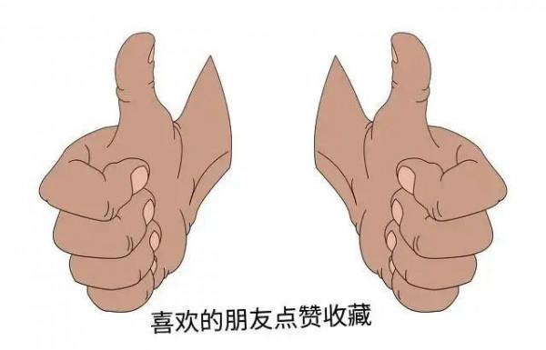 籃球場上的爭議球——雙手不合球不是合球? 籃球場上的爭議球——雙手不合球不是合球?