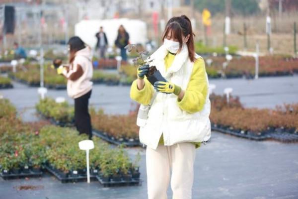 “線上”花開 主播備貨