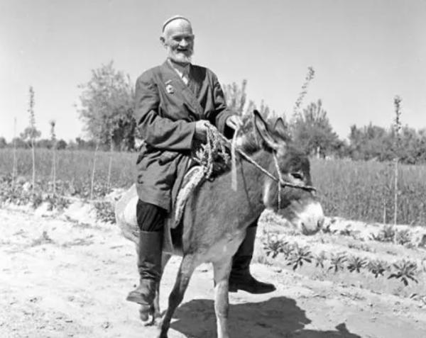 騎毛驢去看毛主席的庫爾班,臨終:後代參軍報國,重孫女完成遺願 騎毛驢去看毛主席的庫爾班,臨終:後代參軍報國,重孫女完成遺願