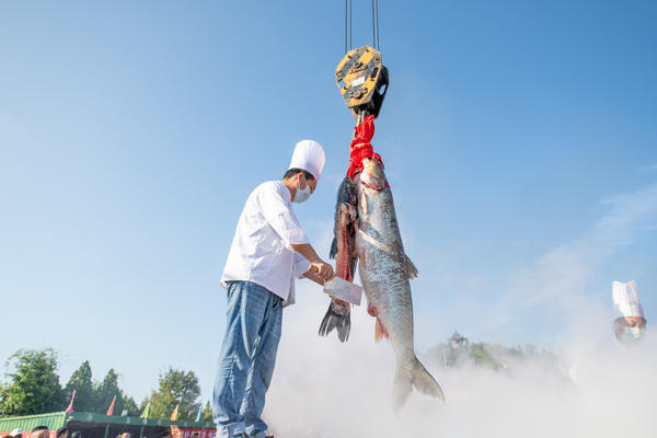 迎中秋，慶團圓！河南這家景區烹製102斤重“魚王湯”，場面震撼
